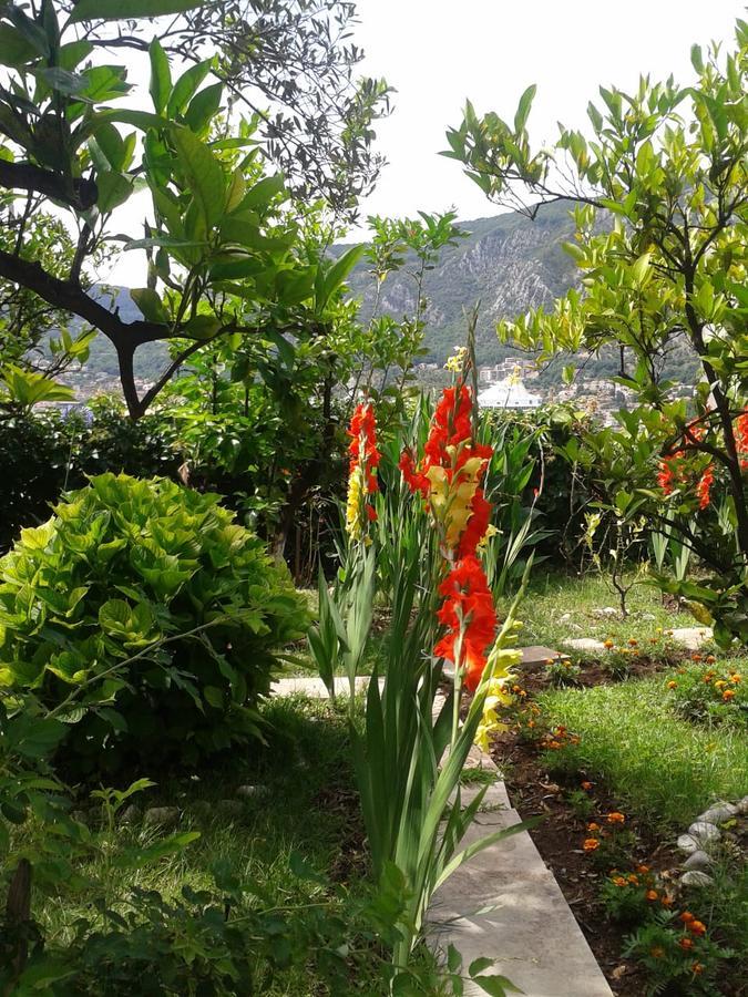 Kotor Kelly Apartments Экстерьер фото